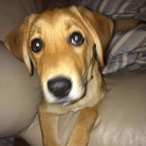 Meet your Posher, Marsha